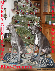 Merry Christmas and a Happy New Year 2013