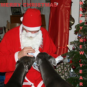 God Jul och Gott Nytt År