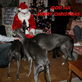 God Jul och Gott Nytt År