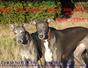 Merry Christmas and a Happy New Year 2014